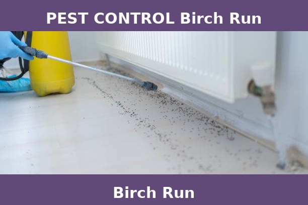 PEST CONTROL Birch Run